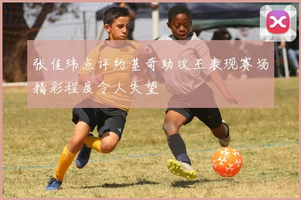 张佳玮点评约基奇助攻王表现赛场精彩程度令人失望