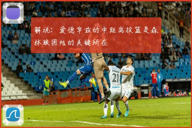 解说：爱德华兹的中距离投篮是森林狼团结的关键所在