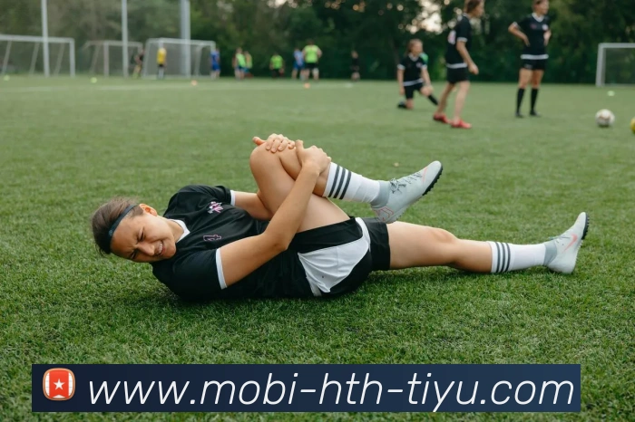 华体会体育发展历程